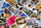 Facebook Netiquette — To Post, or Not to Post Photos